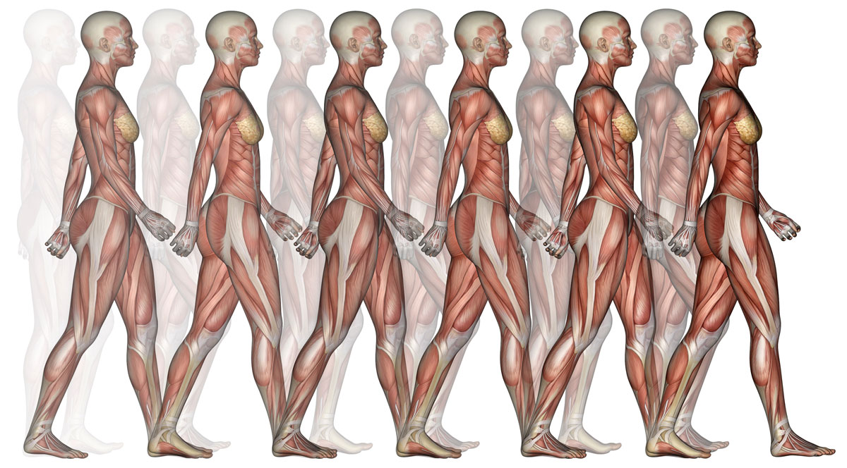 BTS GAITLAB gait analysis