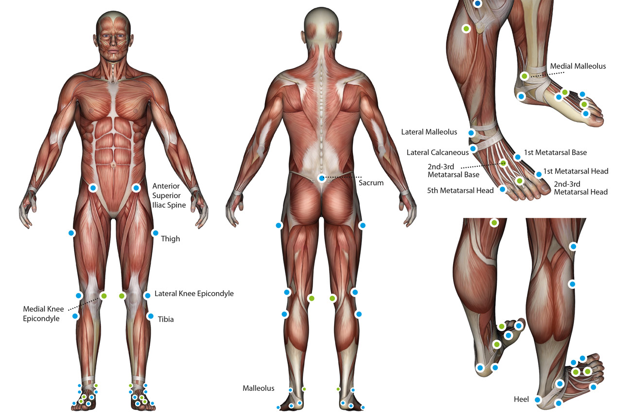 BTS GAITLAB protocols